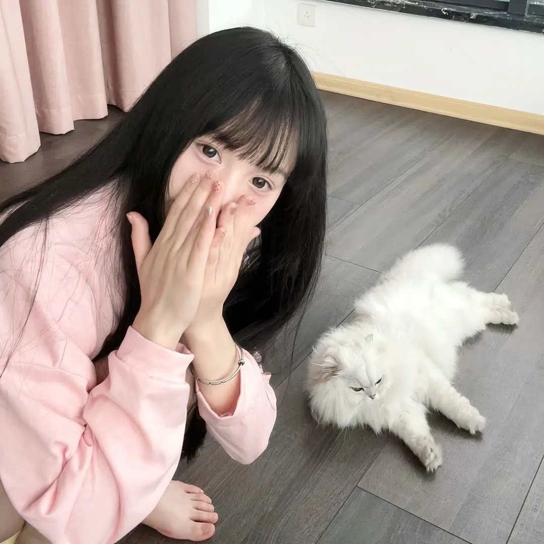 巧克力猫王